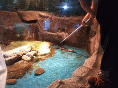 -多彩贵州城极地海洋世界