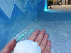 -世界之窗阿尔卑斯冰雪世界