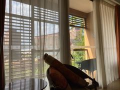 -三亚湾红树林度假世界(木棉酒店)