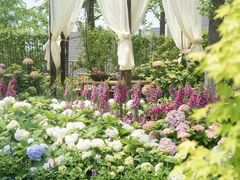 -武汉园博园(武汉自然博物馆)