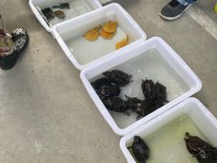 -华声天桥民俗文化园