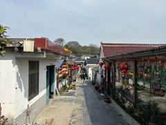 -巢湖姥山岛