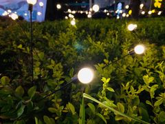 -证大大拇指广场(芳甸路店)