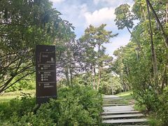 -深圳湾公园(南山区)