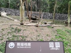 -都江堰中华大熊猫苑