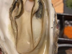 高压生蚝-赤坂亭M9和牛烧肉(世博源店)