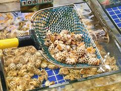 -明记海鲜大排档(巽寮湾店)