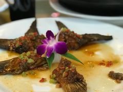 -千岛湖品鱼馆(钓鱼岛店)