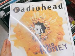 -Hi Fi Acoustic 梵香禅韵·色声香味