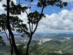 -阳台山森林公园