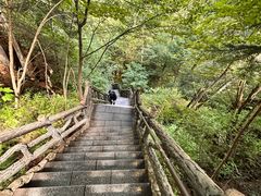 -汤旺河林海奇石景区