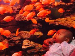 -多彩贵州城极地海洋世界