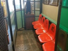 -猫咪博物馆(顶澳仔猫街店)