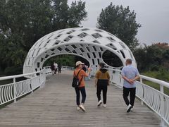 -同里国家湿地公园