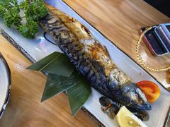 盐烤青花鱼-佰海稻食堂·盖饭·拉面·寿喜锅(中华广场店)