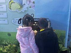 -海合安成都极地海洋公园