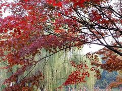 -洛阳市隋唐城遗址植物园