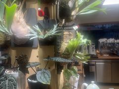 -本無咖啡·BeanWood Coffee