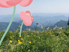 -白草畔自然风景区