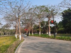 -海珠湖公园