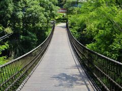 -南宁良凤江国家森林公园