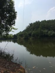 -成都飞越丛林探险乐园(锦绣城园区)