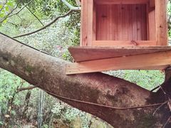 -天门沟九州驿站树上汤泉