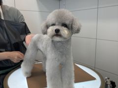 -帕帕拉兹宠物(亚洲旗舰店)