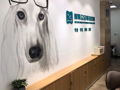-美联众合动物医院·24h转诊中心