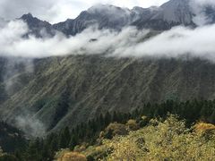 -黄龙山原始森林景区
