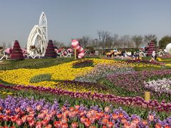 -上海浦江郊野公园·1号停车场