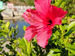 -白马涧龙池景区