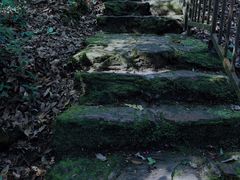 -云南屏边大围山国家公园