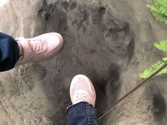 -延庆地质公园博物馆