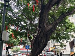 -三坊七巷历史文化街区