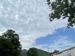 -趣多多宠物公园·宠物训犬学校·宠物寄养