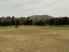-一叶觅山(半边街店)