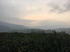 -塔川景区