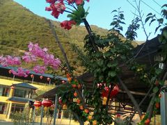 -官滩沟风景区