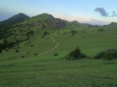 -大姆山草场