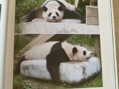 -杭州市萧山图书馆