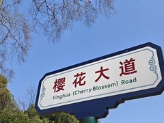 -武汉大学-樱园