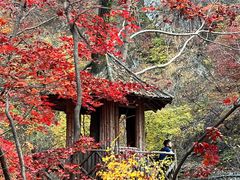 -关门山森林公园