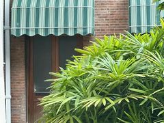 -香港大学