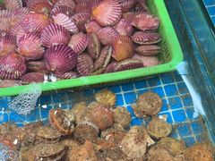 -和源祥·日照菜扛把子(万平口一店)