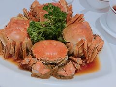 -老洋房花园饭店(绍兴路店)