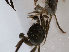 -无锡天鹏食品城