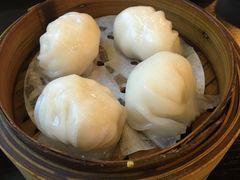 添运来虾饺皇-添运来(茶园奥园广场店)