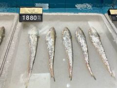 -莆鑫海鲜城(浏河店)