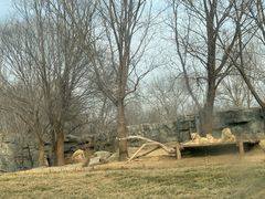 -北京野生动物园